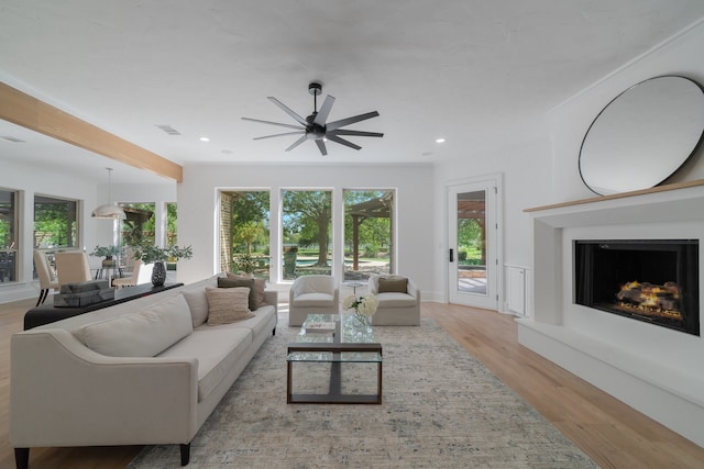 living room featuring light hardwood / wood-style floors and ceiling fan