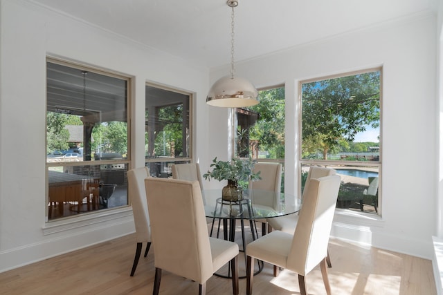 dining room with ornamental molding and hardwood / wood-style flooring