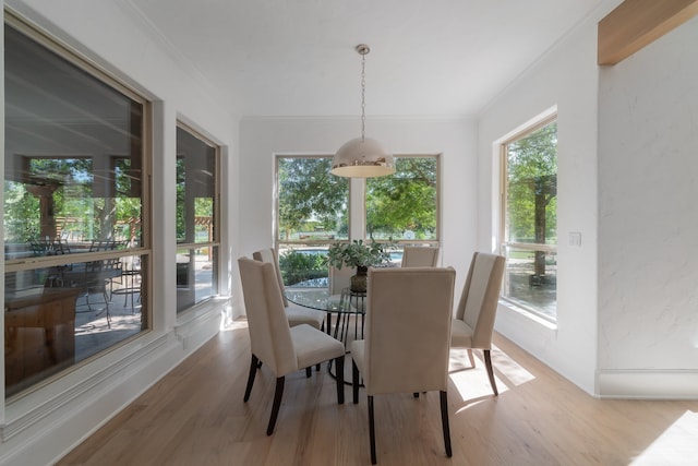 dining space featuring crown molding and wood-type flooring