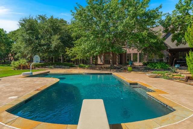 view of swimming pool with a patio and a diving board