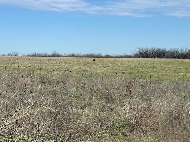 Listing photo 2 for 389 County Road 192, Moran TX 76464