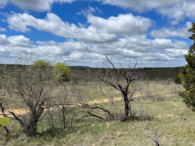 EAST17AC Burwick Rd, Jacksboro TX, 76458 land for sale