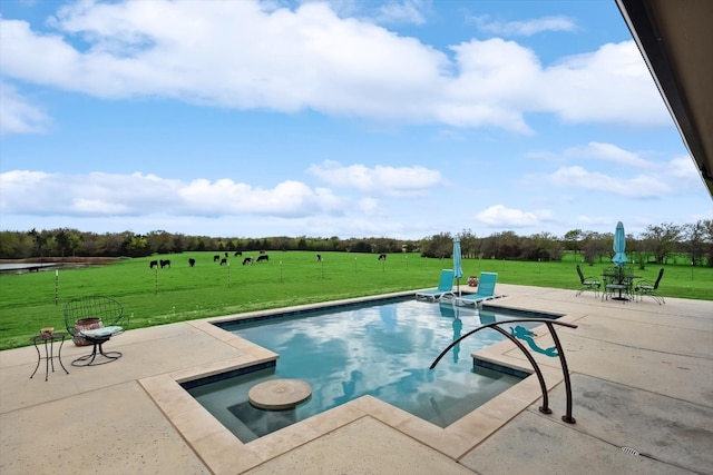 view of pool featuring a lawn and a patio