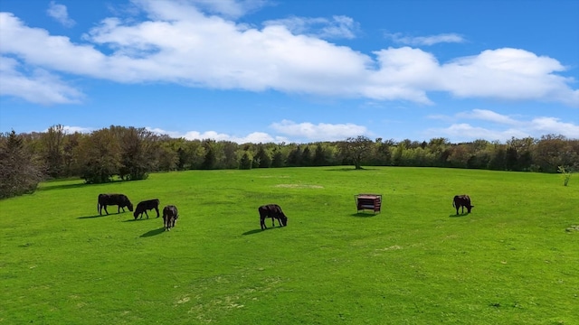 view of yard with a rural view