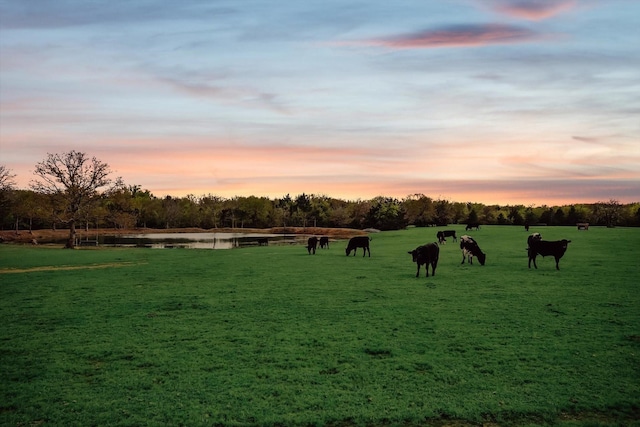 812 Mckenzie Rd, Tioga, TX 76271 - view of home's community with a rural view and a yard