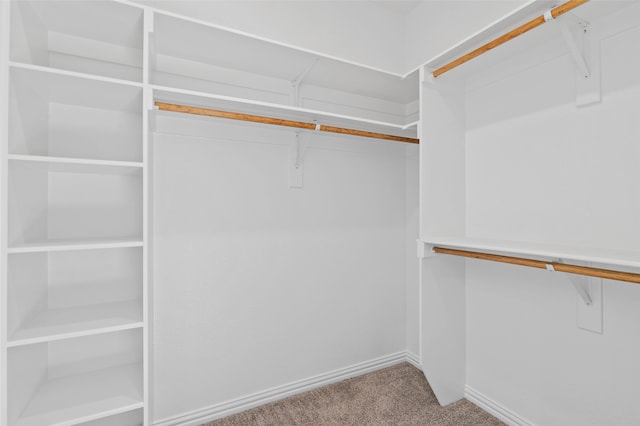 spacious closet featuring carpet floors