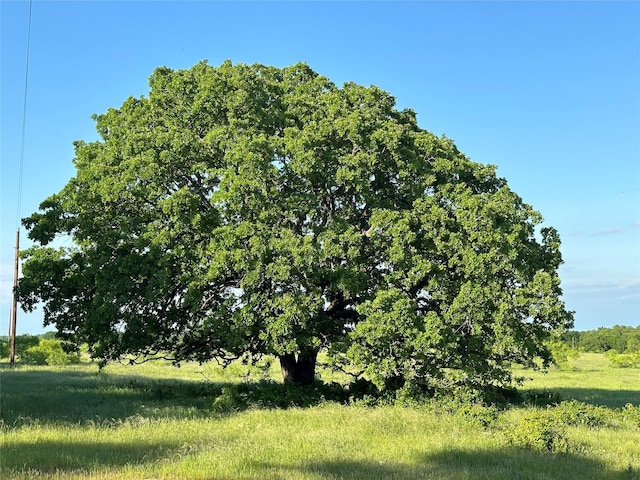 Listing photo 2 for TBD County Road 1895, Chico TX 76431