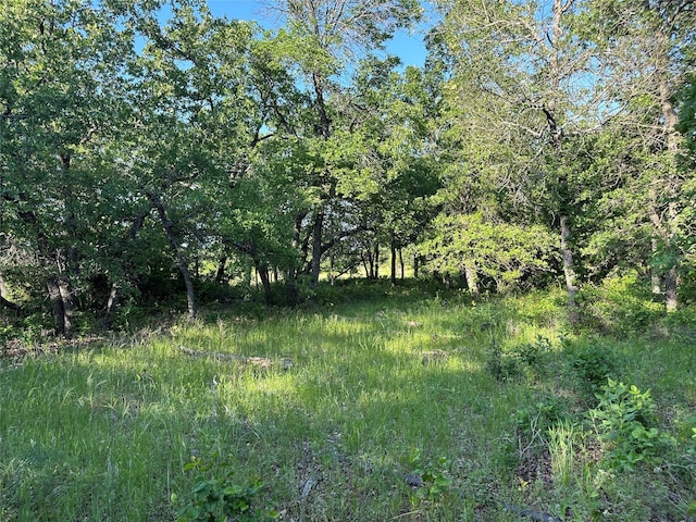 Listing photo 3 for TBD County Road 1895, Chico TX 76431