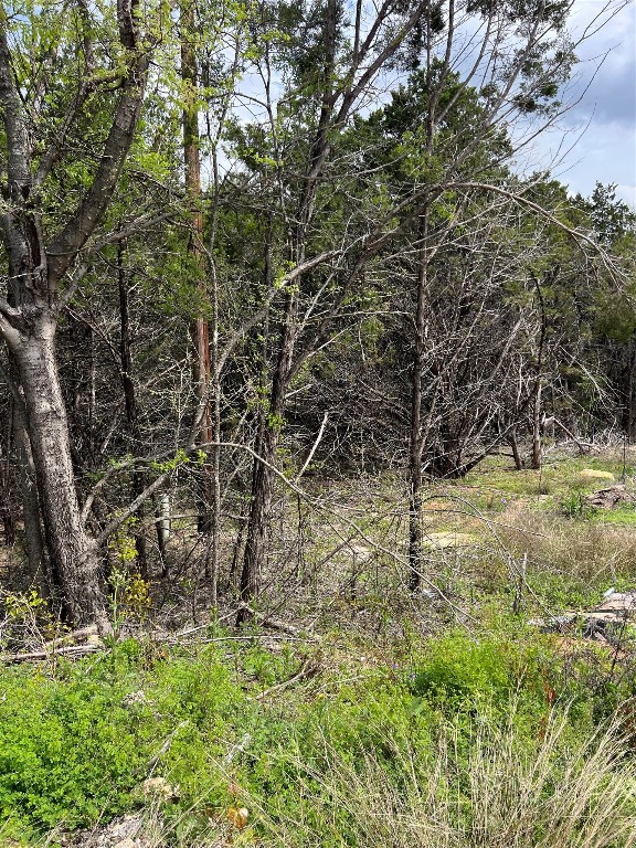 2523 Lakeridge Dr, Granbury TX, 76048 land for sale