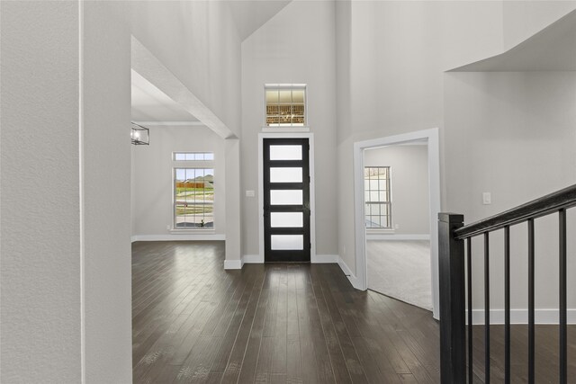 entrance foyer with a high ceiling, dark hardwood / wood-style floors, and an inviting chandelier