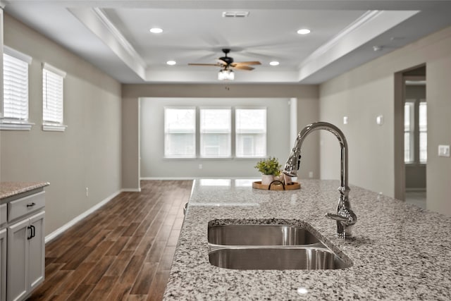 kitchen featuring light stone countertops, sink, dark hardwood / wood-style floors, and a tray ceiling