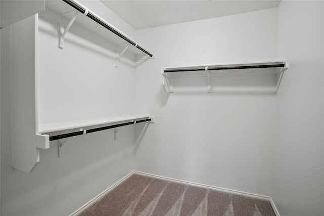 walk in closet with carpet