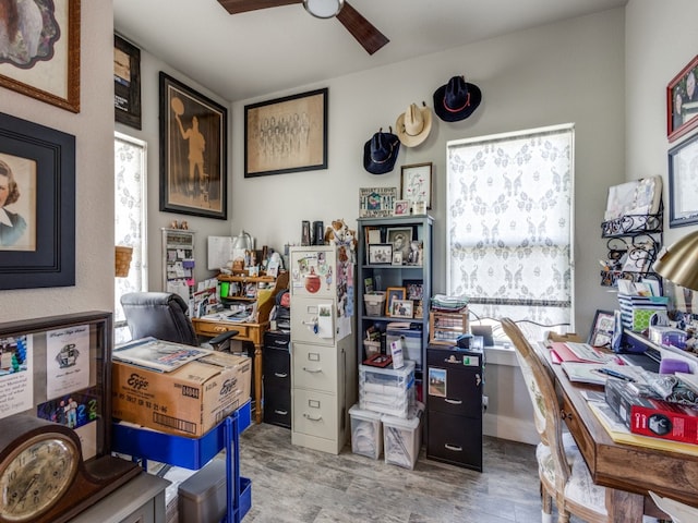 office with a healthy amount of sunlight, light hardwood / wood-style floors, and ceiling fan