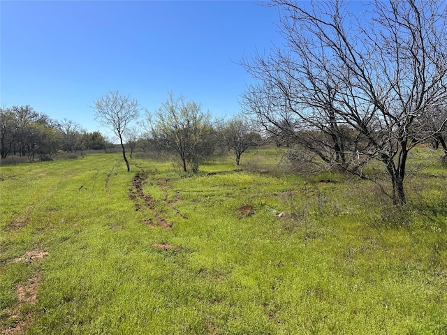 13288 County Road 136, Ranger TX, 76470 land for sale