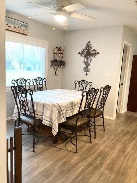 dining area with hardwood / wood-style floors and ceiling fan