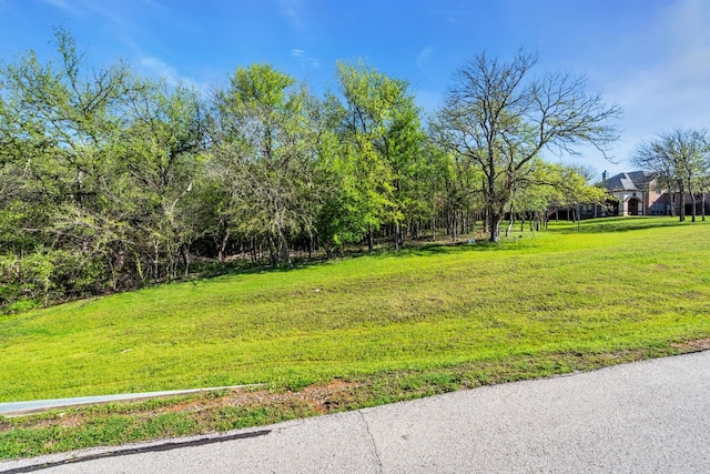 Listing photo 3 for 3521 Pinnacle Bay Pt, Little Elm TX 75068