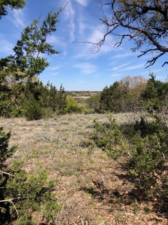 Listing photo 3 for 3400 Beacon Lake Dr, Bluff Dale TX 76433