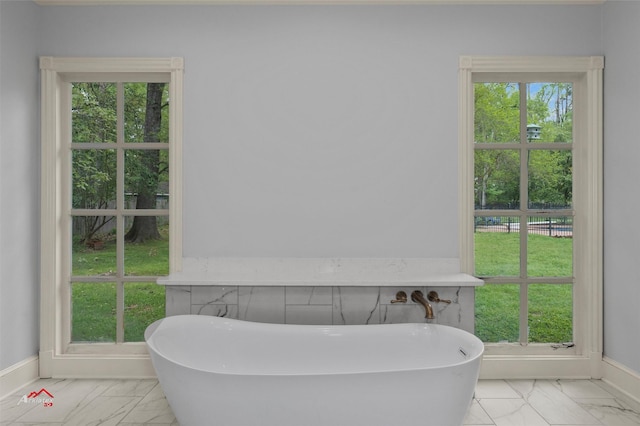 bathroom with a bathing tub and a wealth of natural light