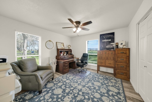 office area with ceiling fan and light hardwood / wood-style flooring