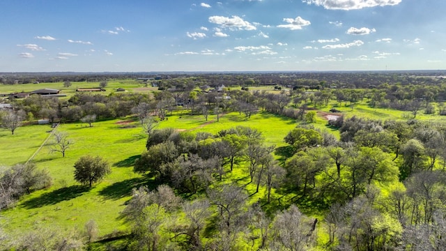 drone / aerial view featuring a rural view