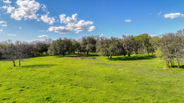 view of yard with a rural view