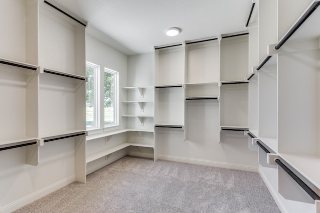 walk in closet with light colored carpet