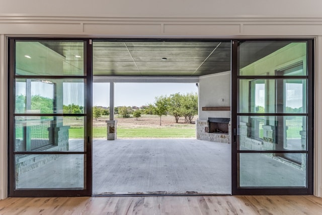 doorway to outside featuring a fireplace, light hardwood / wood-style flooring, and plenty of natural light