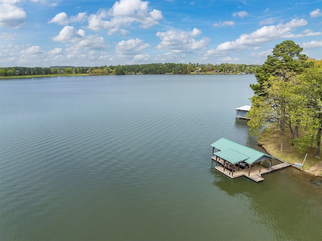 water view with a dock