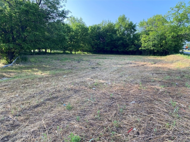 view of yard featuring a rural view