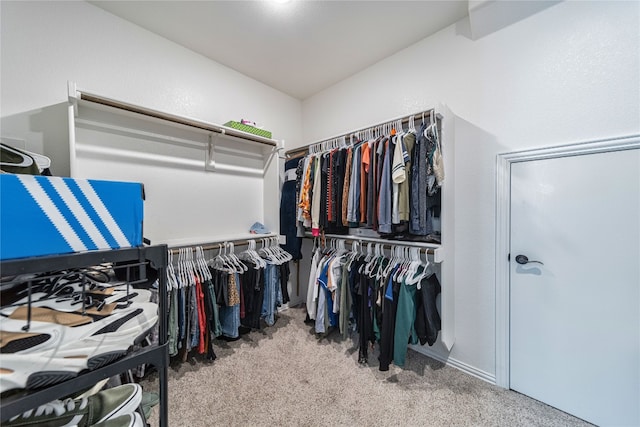 walk in closet featuring light colored carpet