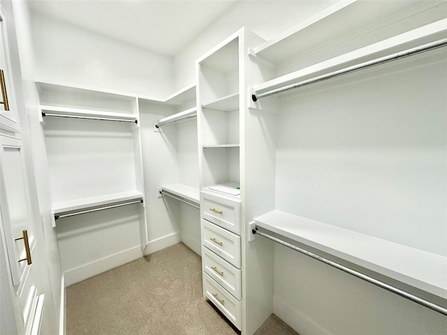 spacious closet featuring light colored carpet