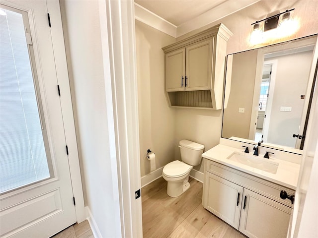 bathroom with vanity, wood-type flooring, and toilet