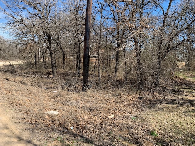 LOT2BLOK2 Lark Meadow Dr, Runaway Bay TX, 76426 land for sale