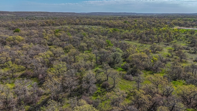 Listing photo 3 for TBD Campbell Ln, Jacksboro TX 76458