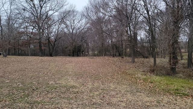 view of local wilderness