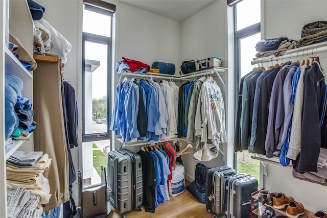 walk in closet with wood finished floors