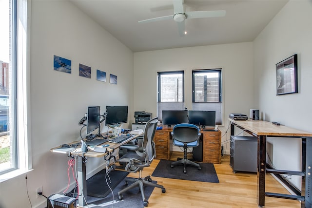 office featuring light wood-type flooring, a wealth of natural light, and a ceiling fan