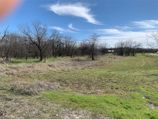 LOT1BLOCK6 Lark Meadow Dr, Bridgeport TX, 76426 land for sale