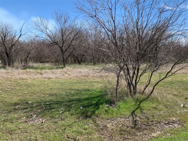 Listing photo 2 for LOT1BLOCK6 Lark Meadow Dr, Bridgeport TX 76426