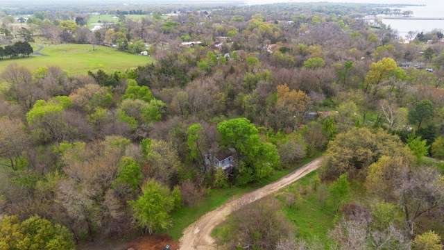 view of bird's eye view