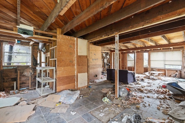 miscellaneous room featuring lofted ceiling