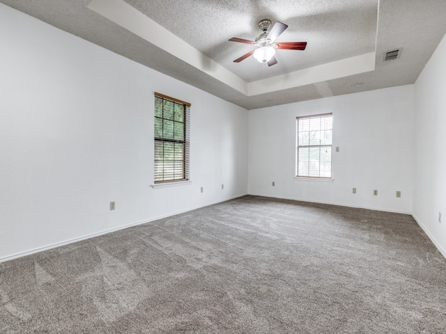 spare room featuring a textured ceiling, a raised ceiling, and carpet flooring