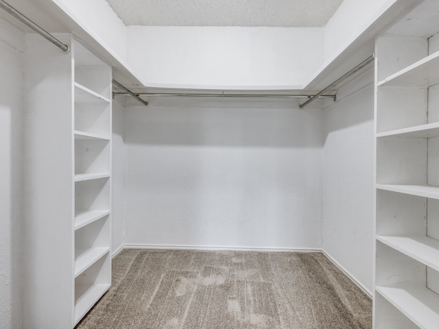 walk in closet featuring carpet