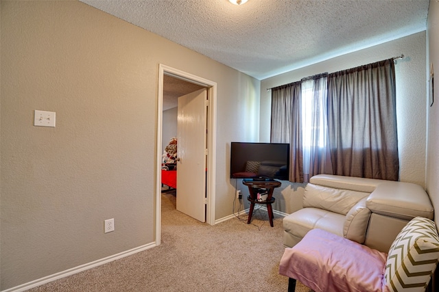 living room with a textured ceiling and light colored carpet