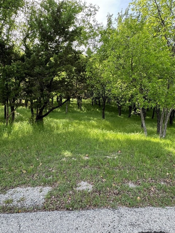 Listing photo 2 for 8702 Oakland Ct, Granbury TX 76049