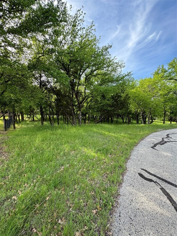 Listing photo 3 for 8702 Oakland Ct, Granbury TX 76049