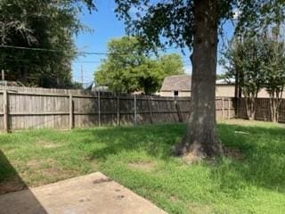 view of yard featuring a patio