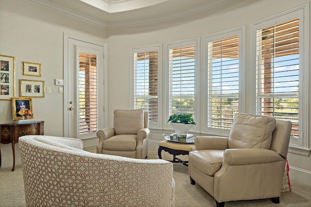 living area featuring crown molding and light carpet