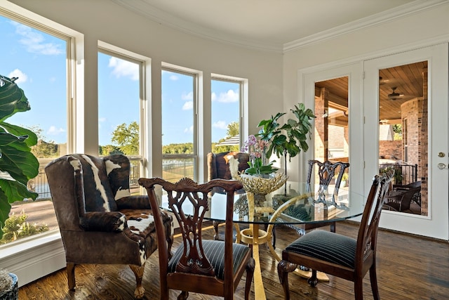 sunroom featuring a healthy amount of sunlight