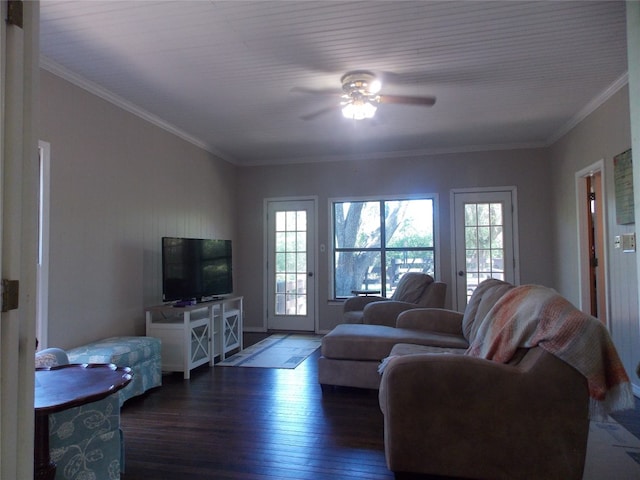 living room featuring dark hardwood / wood-style flooring, ceiling fan, and crown molding